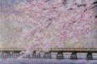 54 photo54_small.jpg